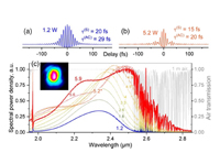 Super-octave longwave mid-infrared coherent transients produced by optical rectification of few-cycle 2.5-μm pulses